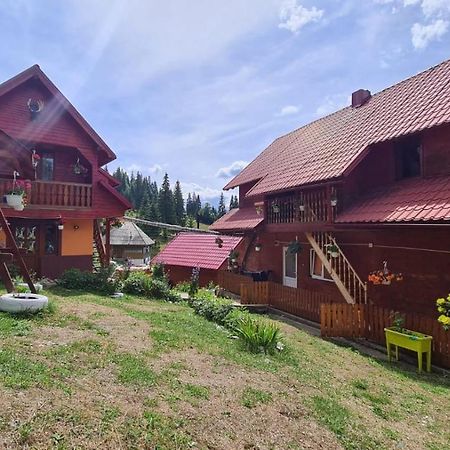 Cabana Cret Ocoale Exteriér fotografie