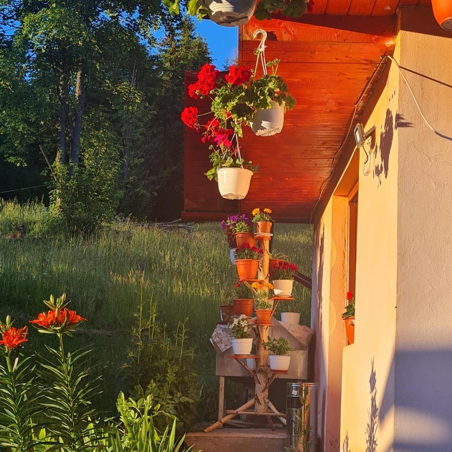 Cabana Cret Ocoale Exteriér fotografie
